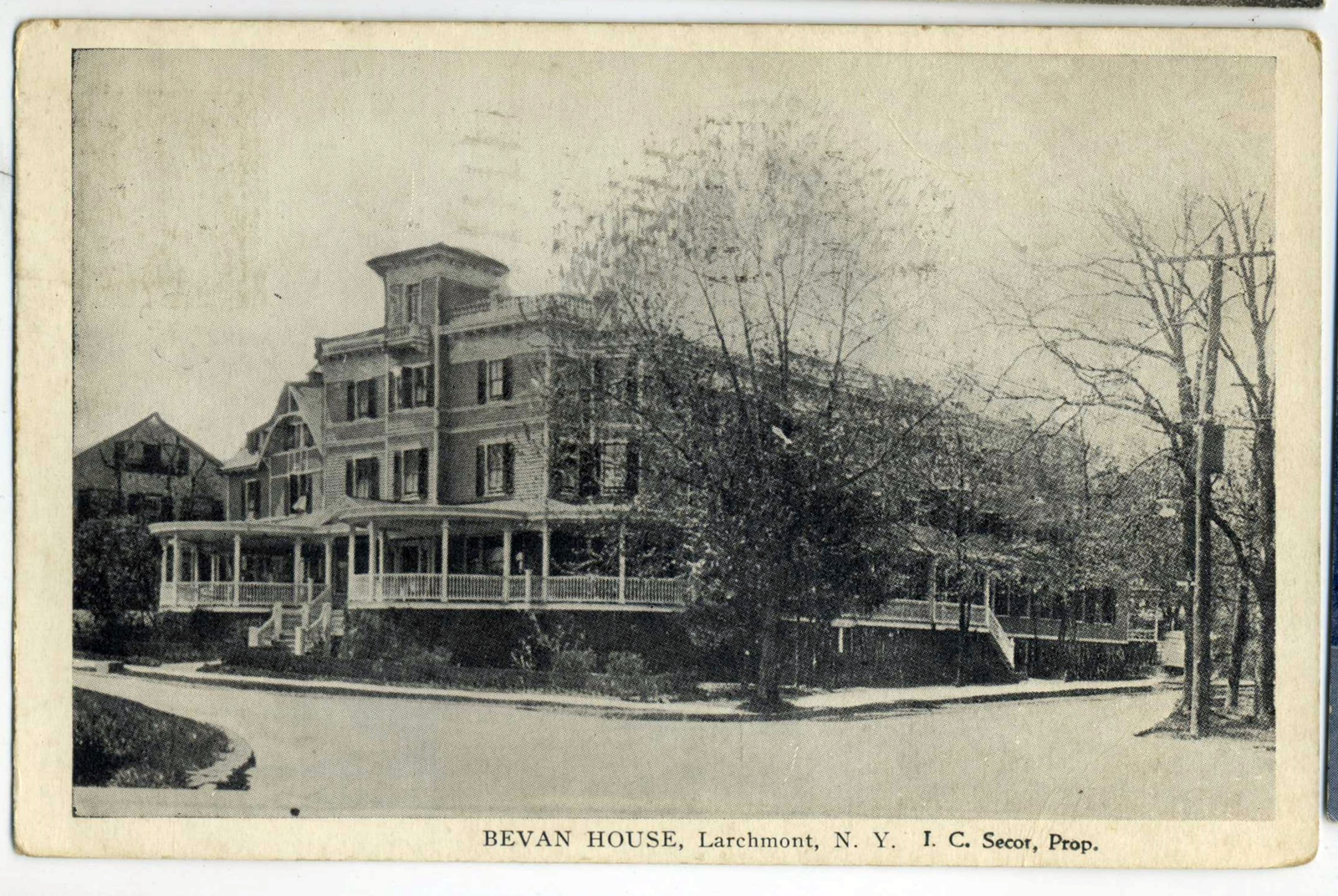 Levi-Collection_Bevan-Hotel-park078_zf
