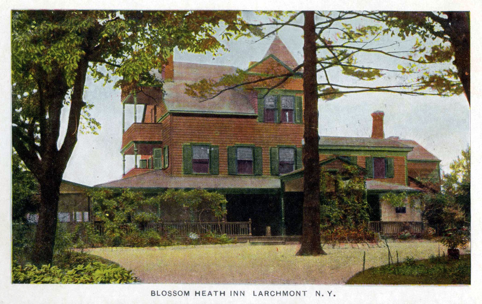 Levi-Collection_Blossom-Heath-Inn-bpr1265_a