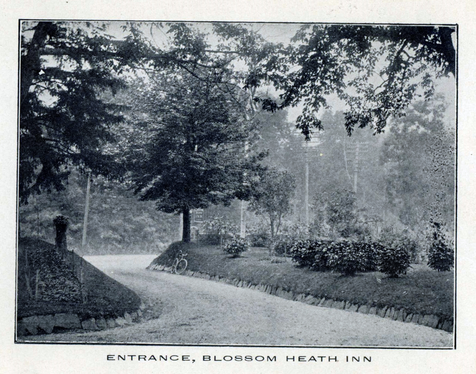 Levi-Collection_Blossom-Heath-Inn-bpr1265_ae