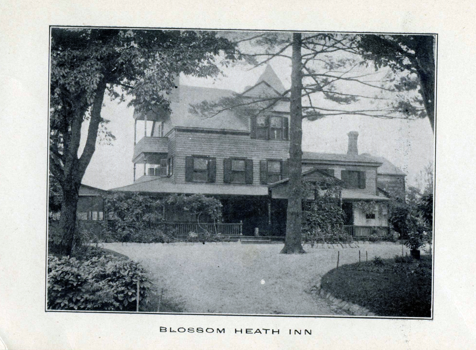 Levi-Collection_Blossom-Heath-Inn-bpr1265_af