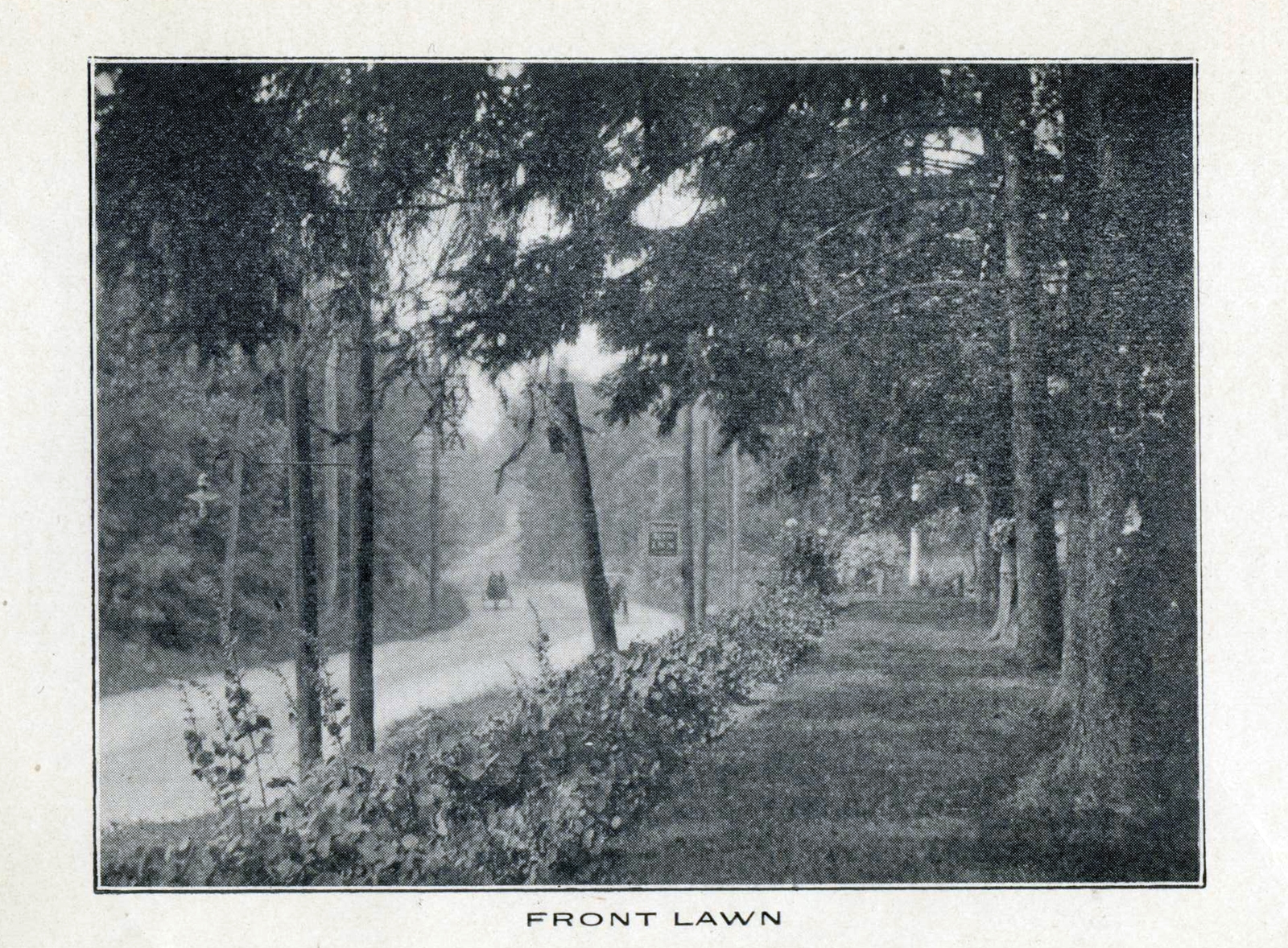 Levi-Collection_Blossom-Heath-Inn-bpr1265_ah
