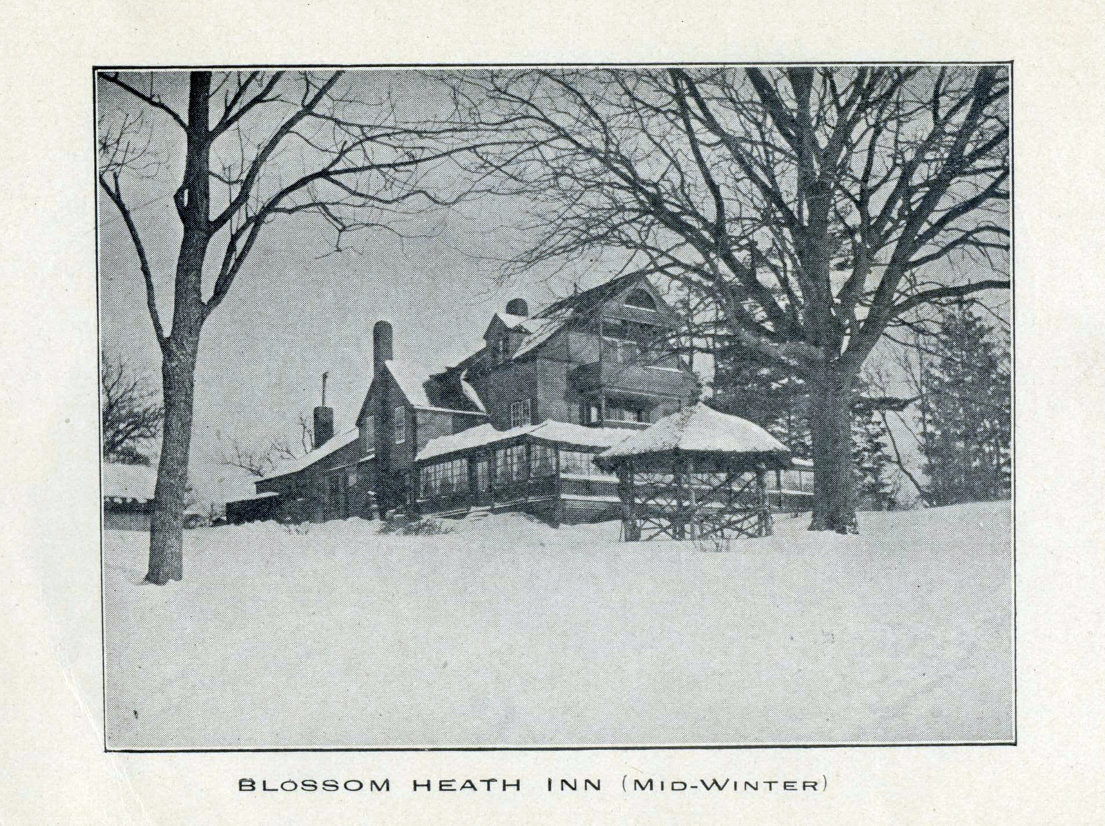 Levi-Collection_Blossom-Heath-Inn-bpr1265_aj
