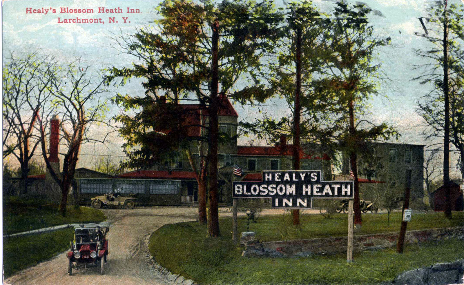 Levi-Collection_Blossom-Heath-Inn-bpr1265_d