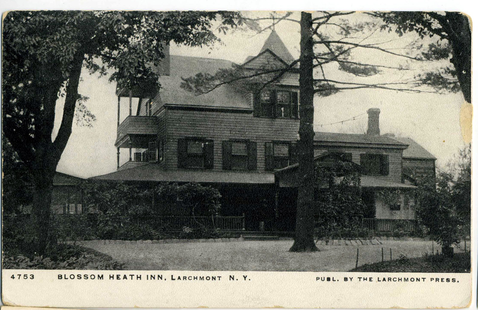 Levi-Collection_Blossom-Heath-Inn-bpr1265_f