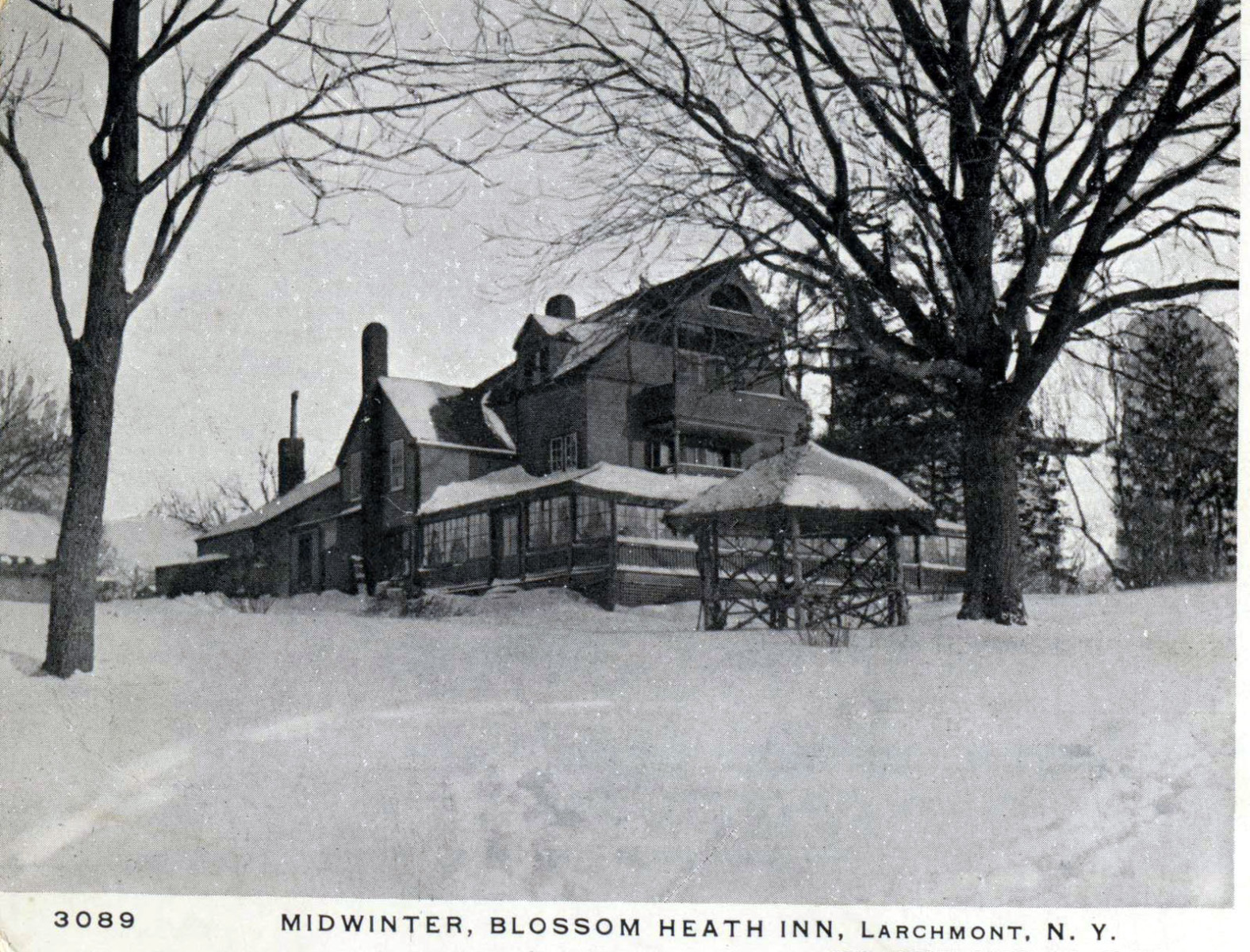 Levi-Collection_Blossom-Heath-Inn-bpr1265_j