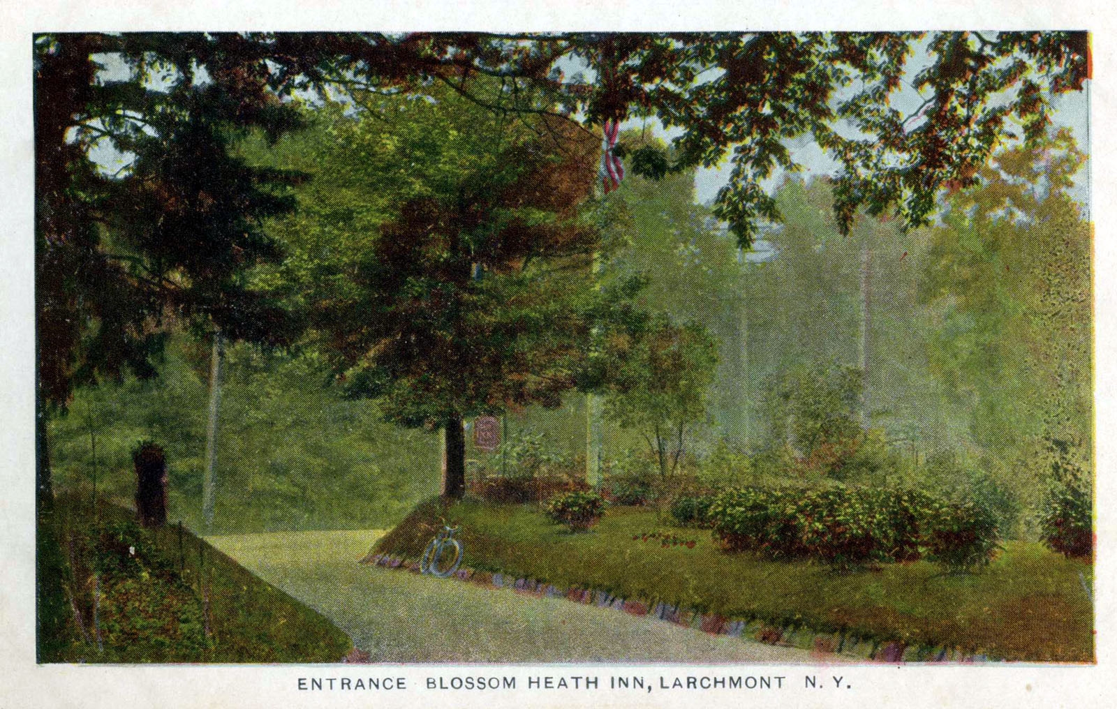 Levi-Collection_Blossom-Heath-Inn-bpr1265_k