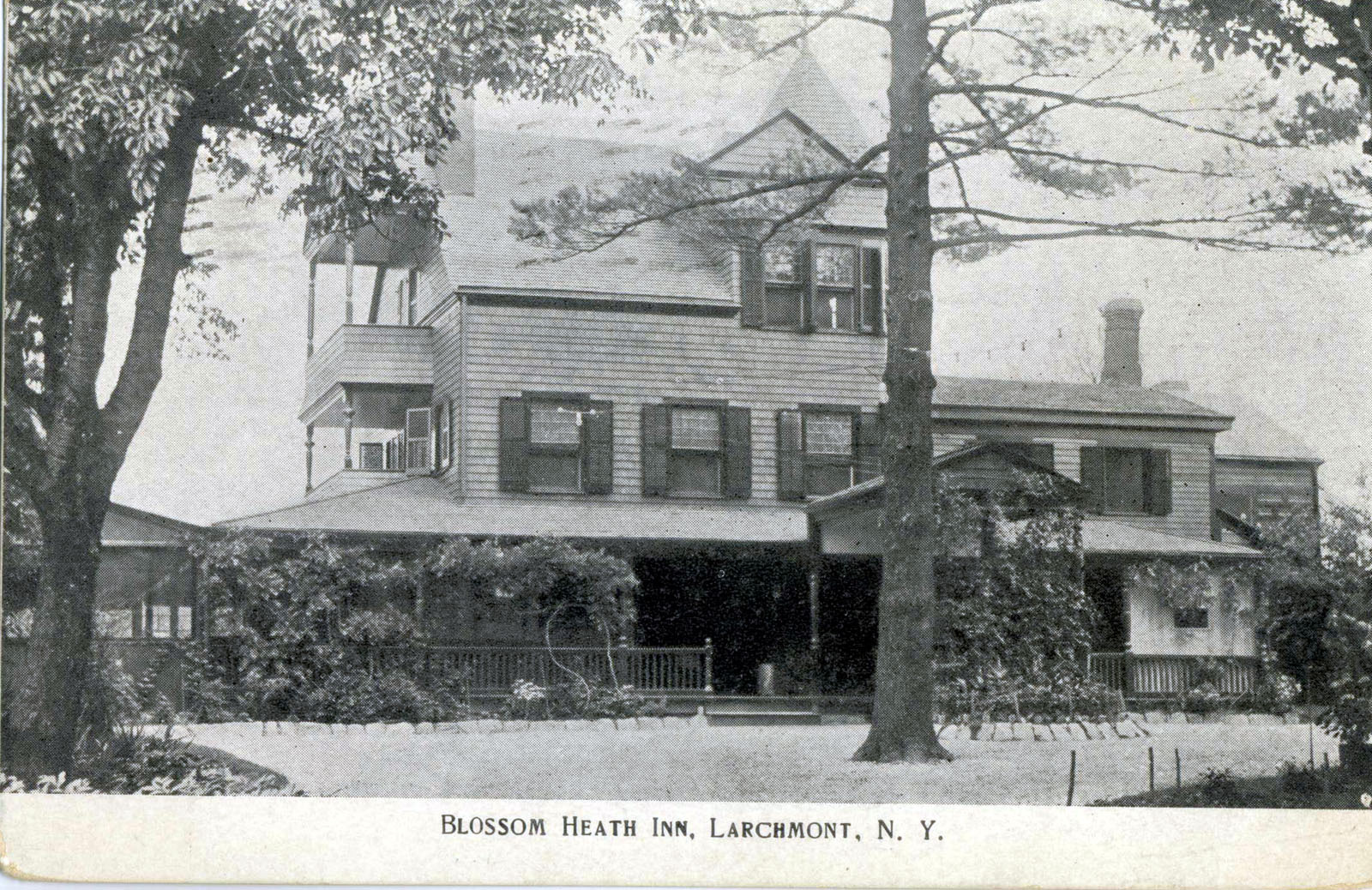 Levi-Collection_Blossom-Heath-Inn-bpr1265_o