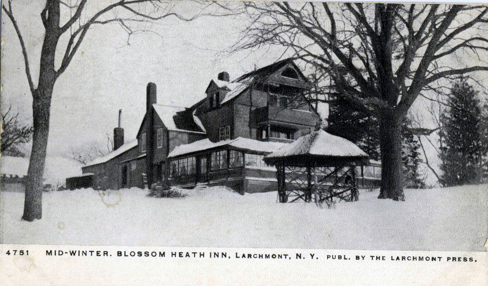 Levi-Collection_Blossom-Heath-Inn-bpr1265_p