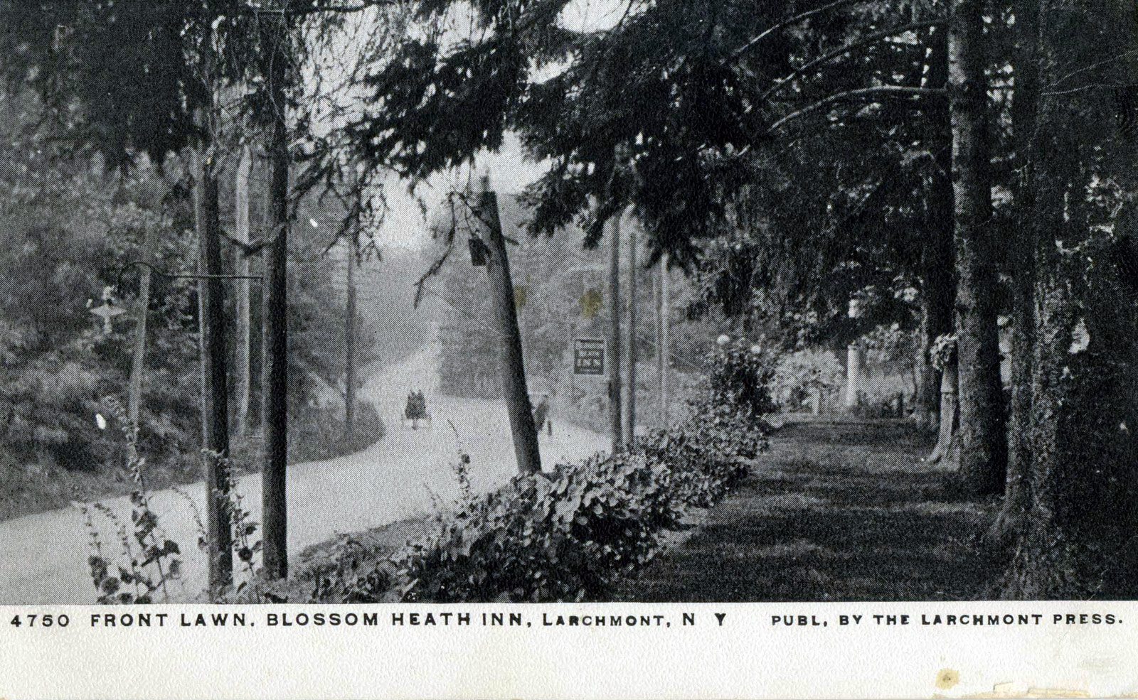 Levi-Collection_Blossom-Heath-Inn-bpr1265_r