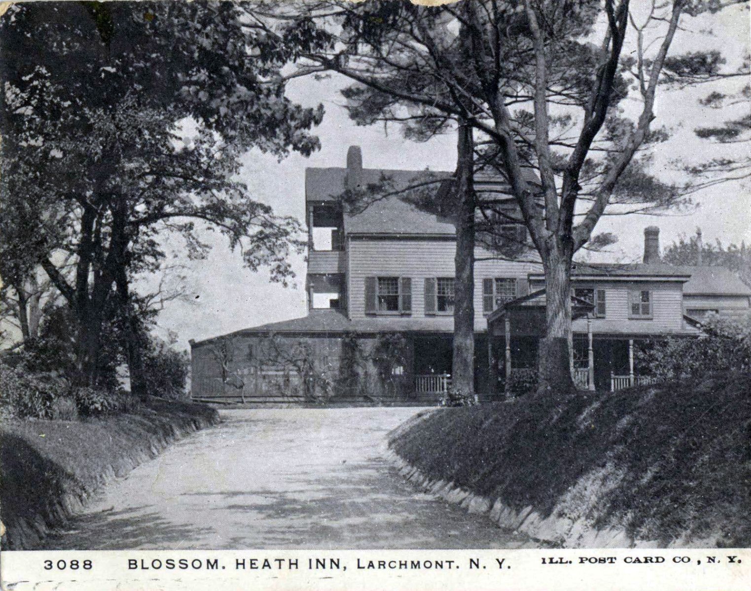 Levi-Collection_Blossom-Heath-Inn-bpr1265_t