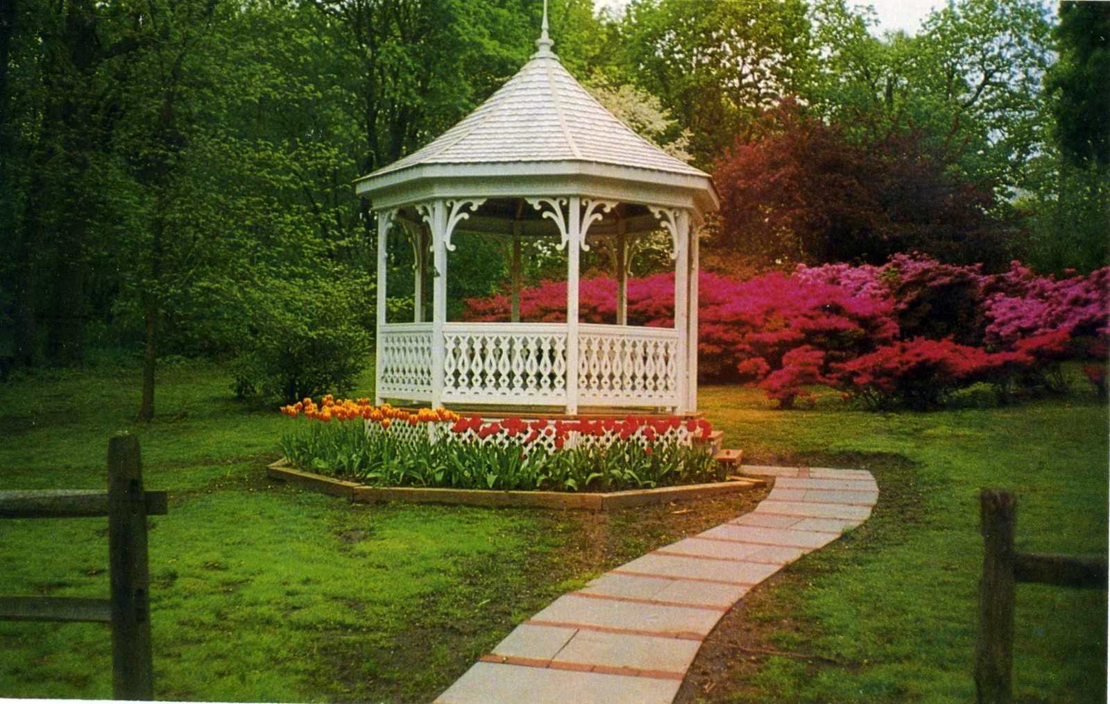 Levi-Collection_Memorial-Park