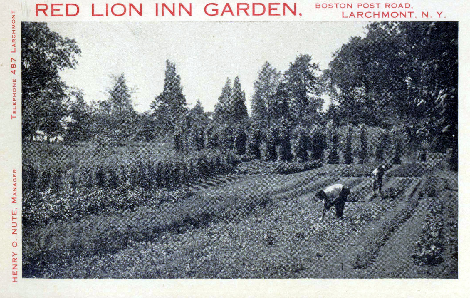 Levi-Collection_Red-Lion-Inn-bpr1289_q