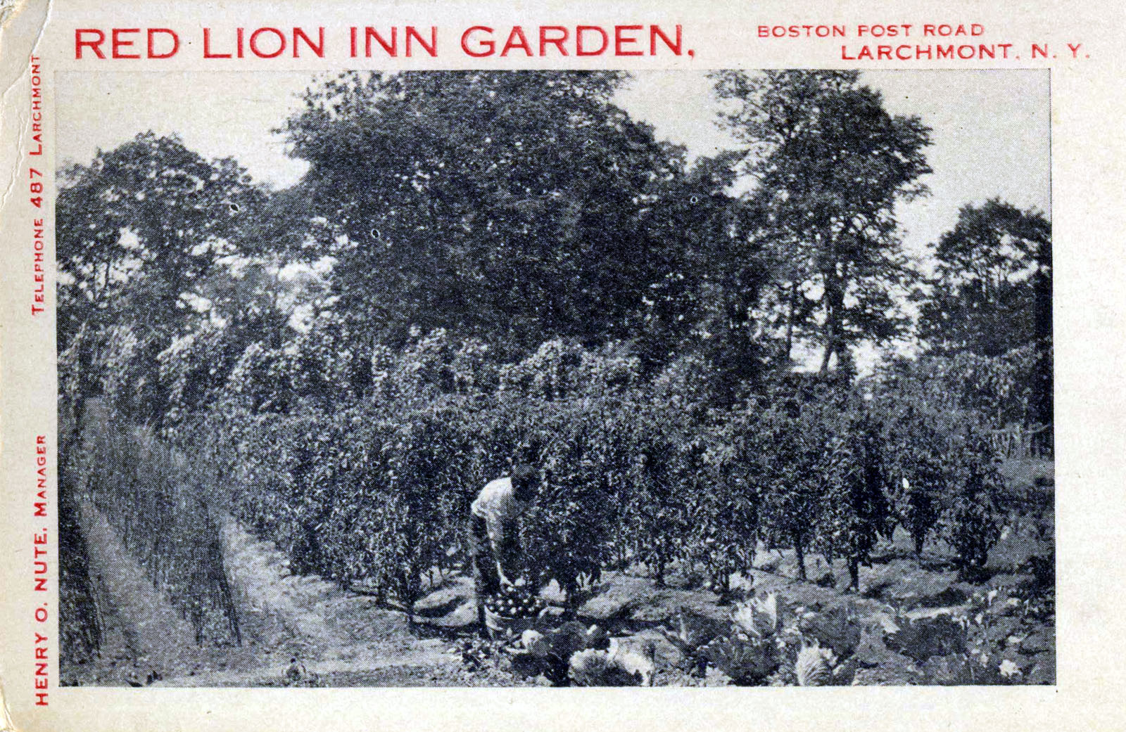 Levi-Collection_Red-Lion-Inn-bpr1289_r