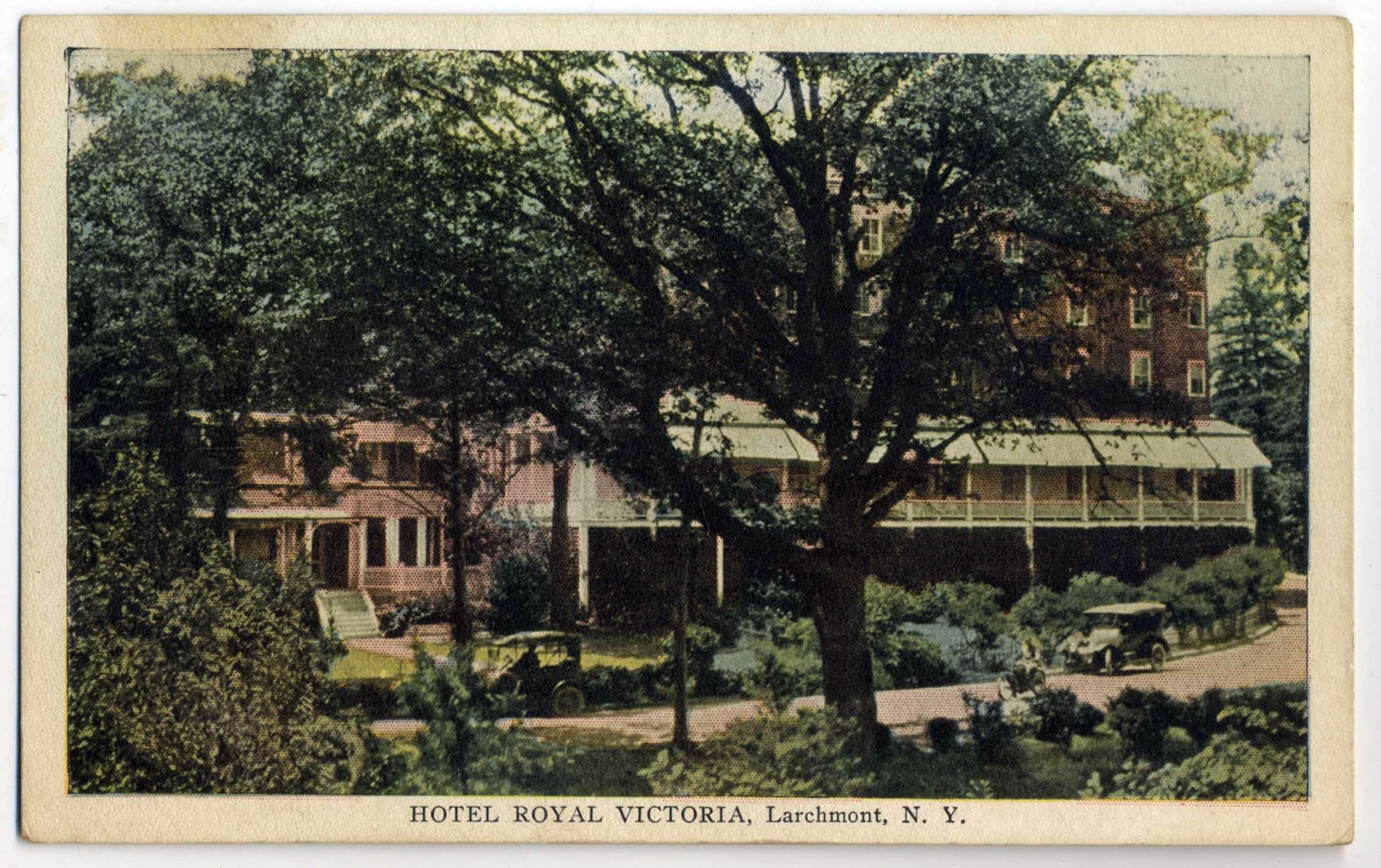 Levi-Collection_Royal-Victoria-p