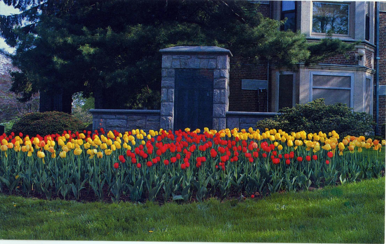 Levi-Collection_Village-War-Memorial-larchmont120-b